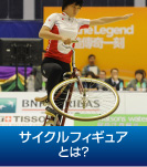 TCNtBMAZ̐